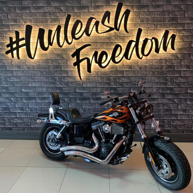 Harley rentals Cape Town premium motorcycle fleet