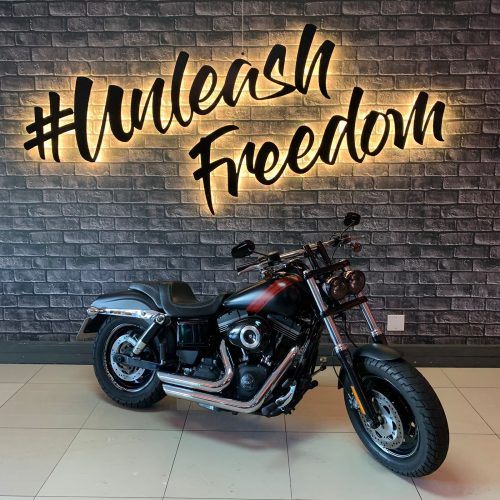 Harley-Davidson Dyna FatBob 103ci rental in Cape Town